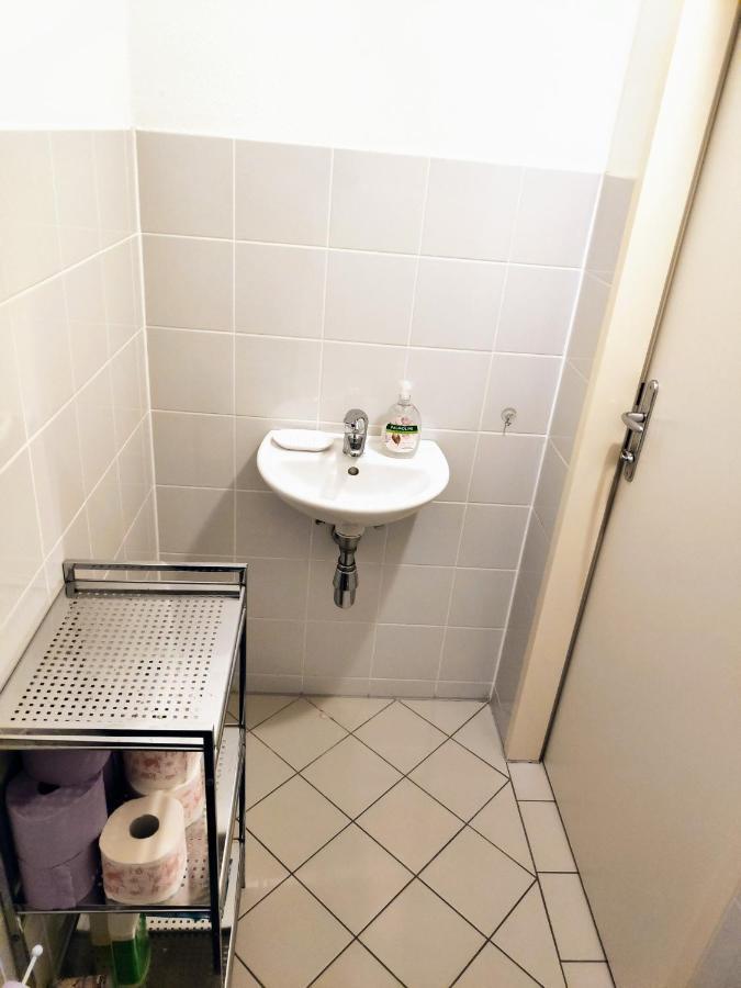 Nd Exquisites Wundervolles Ruhiges Terrassenapartment Mit Garage ウィーン エクステリア 写真